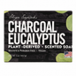 Charcoal Eucalyptus Scented Soap