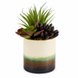 ARTIFICIAL PLANT,7.4" SUCCULEN